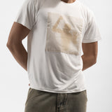 Caged Reflection in White